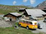 Saurer/825778/255068---schmid-thoerishaus---nr (255'068) - Schmid, Th�rishaus - Nr. 3/BE 26'760 - Saurer/Gangloff (ex Geiger, Adelboden Nr. 3) am 10. September 2023 auf der Bundalp