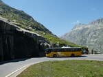 (238'433) - PostAuto Bern - Nr.