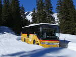 PostAuto Bern/876740/272583---postauto-bern---be (272'583) - PostAuto Bern - BE 401'465/PID 4715 - Setra (ex AVG Meiringen Nr. 65) am 2. M�rz 2025 bei der Grossen Scheidegg