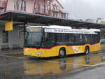 (270'797) - Flck, Brienz - Nr. 22/BE 868'722/PID 11'213 - Mercedes am 10. Januar 2025 in Meiringen, Postautostation