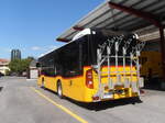 (290'751) - Fl�ck, Brienz - Nr.