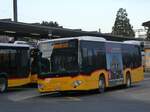 (269'835) - PostAuto Bern - BE 637'781/PID 11'216 - Mercedes am 13.