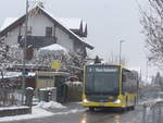 (223'185) - STI Thun - Nr. 186/BE 804'186 - Mercedes am 1. Januar 2021 in Thun-Lerchenfeld, Forstweg