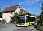 (265'525) - STI Thun - Nr. 407/BE 838'407 - Mercedes am 9. August 2024 in Thun-Lerchenfeld, Forstweg 