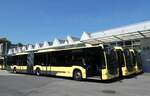 (289'597) - STI Thun - Nr. 184/BE 804'184 - Mercedes am 12. Juli 2026 in Thun, Garage
