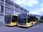 (290'061) - STI Thun - Nr. 185/BE 804'185 - Mercedes am 1. August 2026 in Thun, Garage