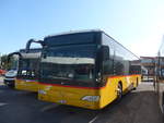 (209'698) - CarPostal Ouest - VD 1055 - Mercedes (ex Morattel, Sdeilles) am 15. September 2019 in Kerzers, Interbus