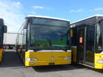 (220'047) - Interbus, Yverdon - Nr. 215 - Mercedes (ex BVB Basel Nr. 794; ex ASN Stadel Nr. 199) am 23. August 2020 in Kerzers, Interbus