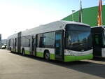 (232'559) - transN, La Chaux-de-Fonds - Nr. 147 - Hess/Hess Gelenktrolleybus am 30. Januar 2022 in Kerzers, Interbus