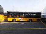 (233'862) - CarPostal Ouest - NE 49'619 - Solaris am 12. Mrz 2022 in Kerzers, Interbus