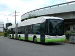 (240'209) - transN, La Chaux-de-Fonds - Nr. 134 - Hess/Hess Gelenktrolleybus (ex TN Neuchtel Nr. 134) am 24. September 2022 in Kerzers, Interbus