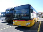 (262'278) - PostAuto Bern - Nr. 14/BE 669'367/PID 10'120 - Mercedes (ex Thepra, Stans Nr. 20) am 11. Mai 2024 in Kerzers, Interbus