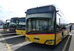 (285'636) - PostAuto Bern - BE 541'062/PID 12'352 - eSolaris am 21. M�rz 2026 in Kerzers, Interbus