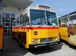 (266'356) - Zimmermann, Niederwangen - Saurer/T�scher am 31. August 2024 in Oberkirch, CAMPUS Sursee