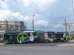 (151'472) - transN, La Chaux-de-Fonds - Nr. 150 - Hess/Hess Gelenktrolleybus (ex TN Neuchtel Nr. 150) am 12. Juni 2014 beim Bahnhof Marin