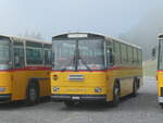 (239'783) - Ackermann, Landquart - GR 106'362 - Saurer/R&J (ex Fssler, Unteriberg; ex Schrch, Gutenburg Nr.