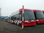 (242'599) - SW Winterthur - Nr. 403 - Hess/Hess Doppelgelenktrolleybus am 13. November 2022 in Wil, Larag