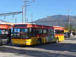 (210'587) - AutoPostale Ticino - TI 228'017 - Mercedes am 26.