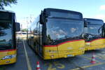 (289'681) - CarPostal Ouest - VD 305'217/PID 10'356 - Solaris am 18.