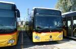 (289'686) - CarPostal Ouest - VD 191'583/PID 10'957 - Mercedes (ex PostAuto Wallis Nr.