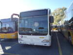 (291'080) - PostAuto Nordschweiz - BL 118'108/PID 5542 - Mercedes (ex Steffen, Remetschwil Nr.