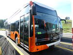 (255'241) - Odier, Plan-les-Ouates - (143'704) - Mercedes am 17. September 2023 in Winterthur, Daimler Buses