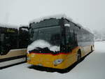 (257'359) - Flck, Brienz - Nr. 5/BE 113'349/PID 10'859 - Mercedes am 2. Dezember 2023 in Winterthur, Daimler Buses