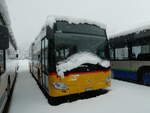 (257'360) - Flck, Brienz - Nr. 5/BE 113'349/PID 10'859 - Mercedes am 2. Dezember 2023 in Winterthur, Daimler Buses