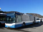 (259'091) - VBZ Zrich - Nr. 544 - Neoplan am 3. Februar 2024 in Winterthur, Daimler Buses