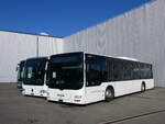 (259'094) - Maag, Kloten - Nr. 42 - MAN am 3. Februar 2024 in Winterthur, Daimler Buses