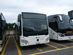 winterthur/856528/264831---maag-kloten---nr (264'831) - Maag, Kloten - Nr. 34/ZH 590'934 - Mercedes am 17. Juli 2024 in Winterthur, Daimler Buses