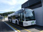 winterthur/862677/266498---maag-kloten---nr (266'498) - Maag, Kloten - Nr. 31/ZH 590'931 - Mercedes am 31. August 2024 in Winterthur, Daimler Buses