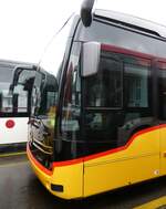 (273'385) - AutoPostale Ticino - (620'650) - eMercedes am 29. März 2025 in Winterthur, Daimler Buses (Teilaufnahme)
