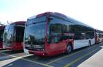 (289'544) - TPF Fribourg - (147'569) - eMercedes am 11. Juli 2026 in Winterthur, Daimler Buses