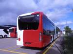 (290'403) - TPF Fribourg - (147'573) - eMercedes am 22. August 2026 in Winterthur, Daimler Buses