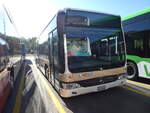 (290'916) - AZZK Zollikon - Nr. 53/ZH 738'053 - Mercedes am 19. September 2026 in Winterthur, Daimler Buses