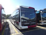 (290'918( - TPF Fribourg - (147'409) - eMercedes am 19. September 2026 in Winterthur, Daimler Buses