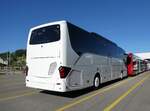 (290'922) - Hil�rio, Sch�tz - (136'537) - Setra am 19. September 2026 in Winterthur, Daimler Buses