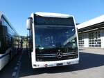 (290'933) - Limmat Bus, Dietikon - (623'191) - eMercedes am 19.