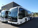 (290'934) - Limmat Bus, Dietikon - (623'191) - eMercedes am 19.