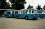 zurich/217714/032431---vbz-zuerich---nr (032'431) - VBZ Zrich - Nr. 102 - FBW/SWS Gelenktrolleybus am 26. Juni 1999 in Zrich, Garage Hardau