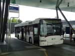 (144'405) - ATE Bus, Effretikon - Nr. 43/ZH 313'805 - Scania/Hess am 20. Mai 2013 in Zrich, Flughafen